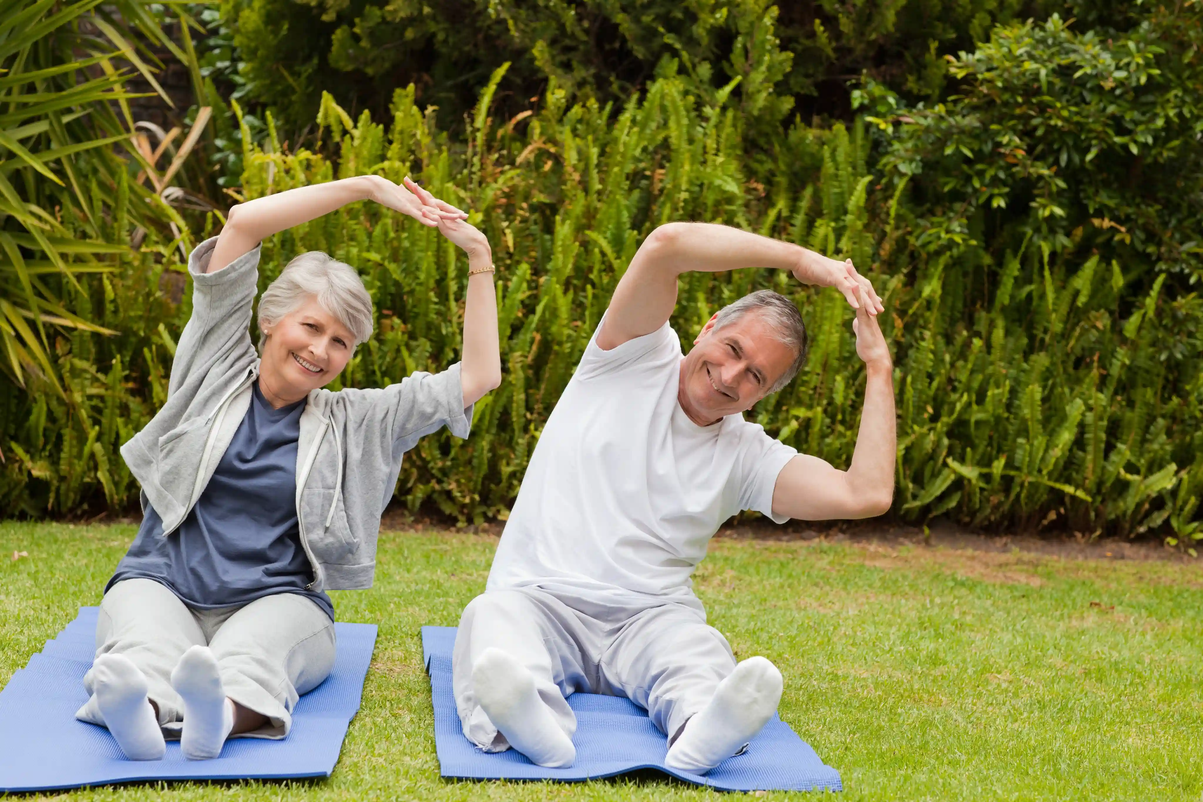 Geriatric Wellness (Senior Citizen Focused)
